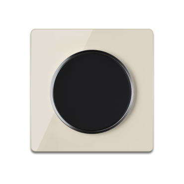 Lichtschalter schwarz mit Glass-Abdeckrahmen beige