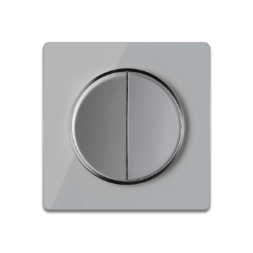 Serienschalter 2fach grau mit Glas-Abdeckrahmen grau